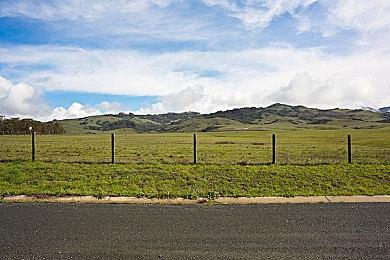 《最后生还者2重制版》通过SteamDeck认证 4月4日发售